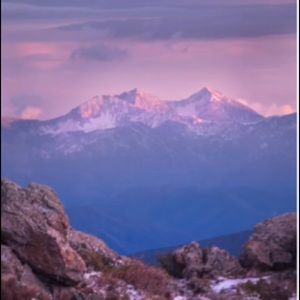 Meet your Posher, Mete